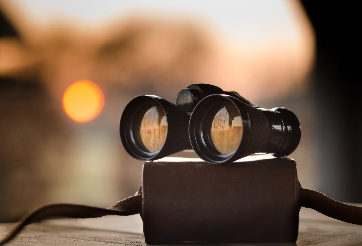 Due Diligence and Background Check